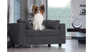 Pet sofa comfortable design practical robust with slipcover