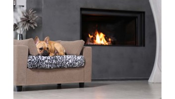Lit chien design & confort