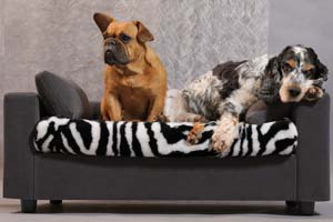 Dog bed manufacturer