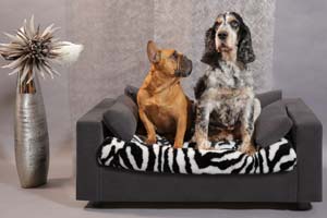 Luxury dog sofa