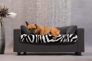 Luxurious Bulldog Bed