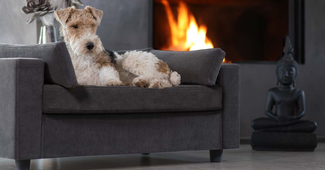 luxury pet sofa