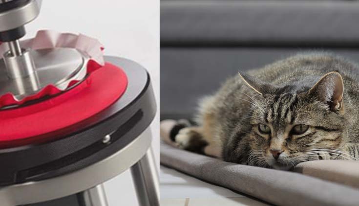 What is the Martindale test? It is a European way to measure the wear durability and resistance of your pet’s bed use.