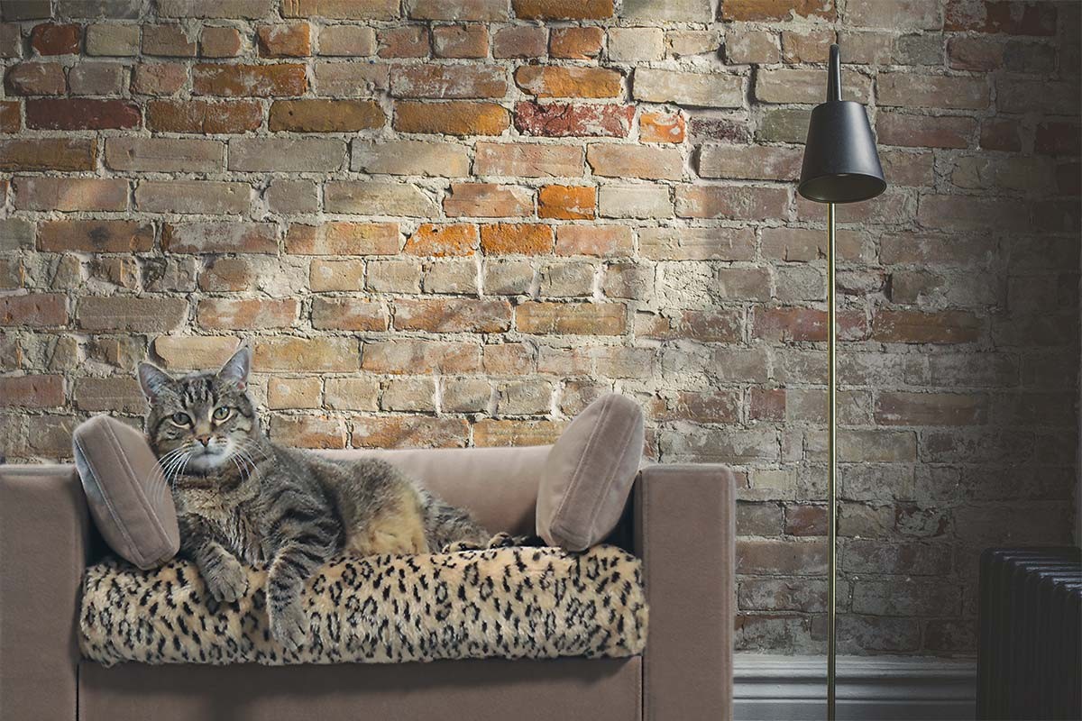couchage deco chat