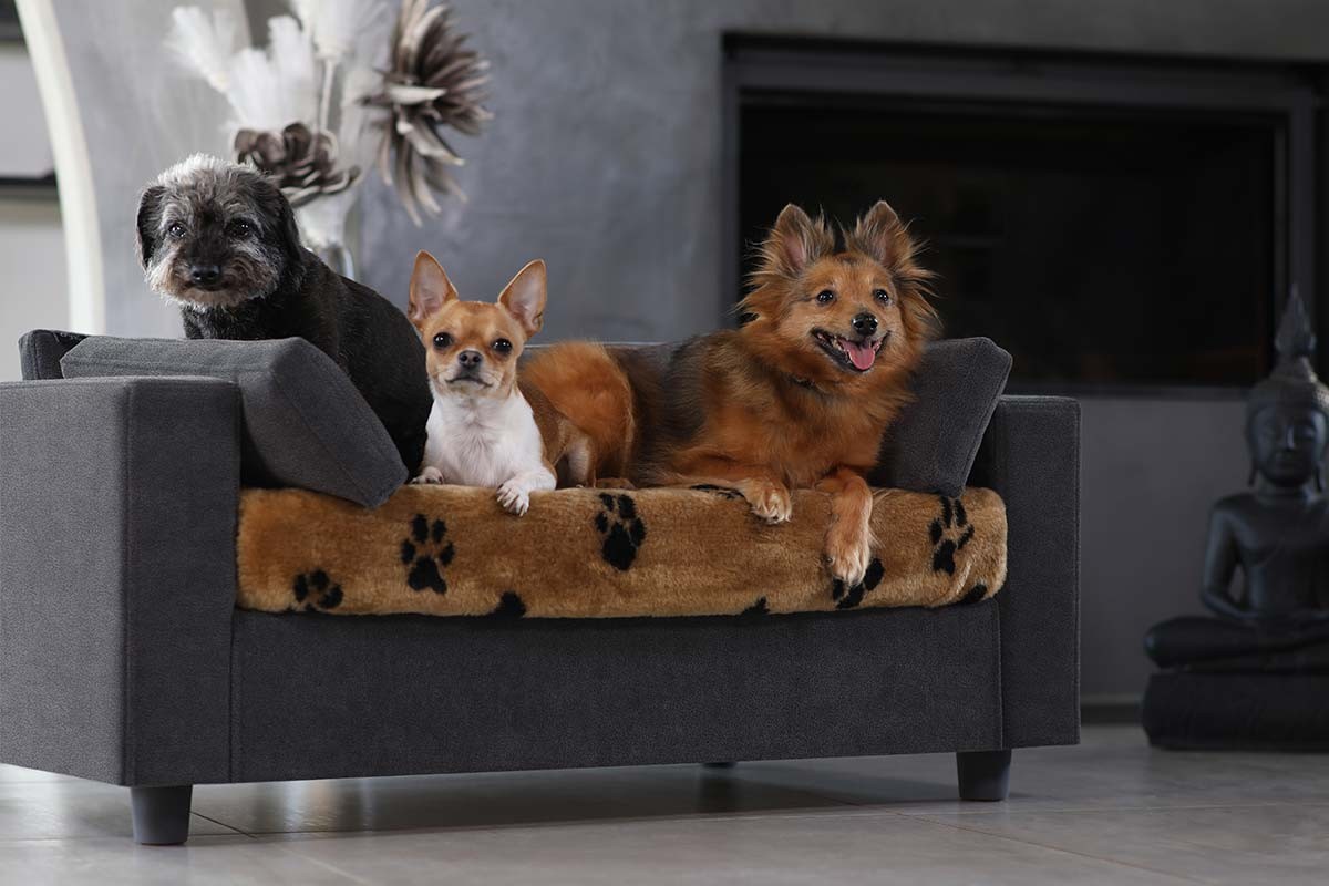 removable dog bed